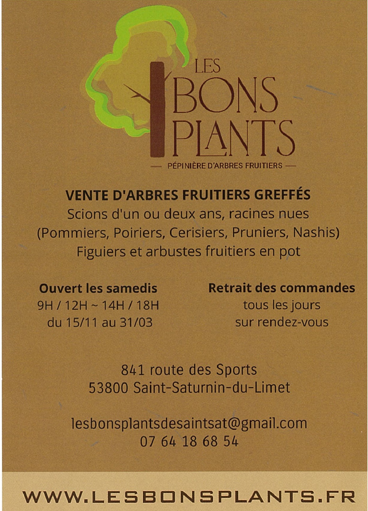 LES BONS PLANS