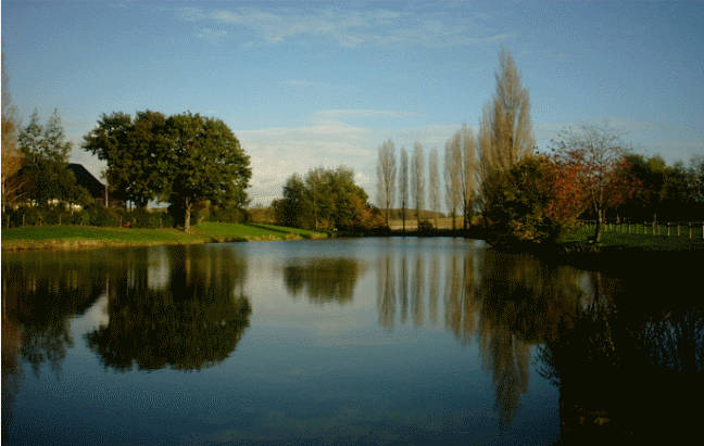 Etang communal Etang communal