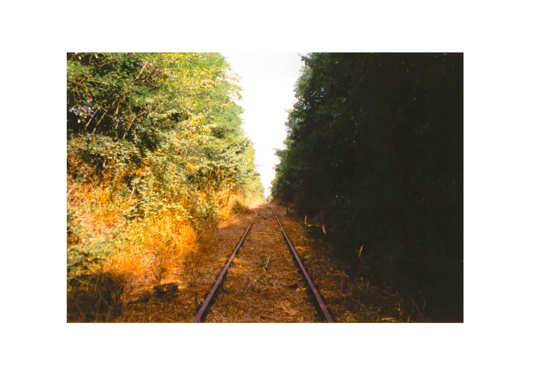 L'inter-ligne
