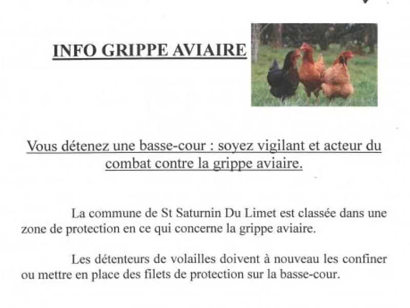 Grippe aviaire