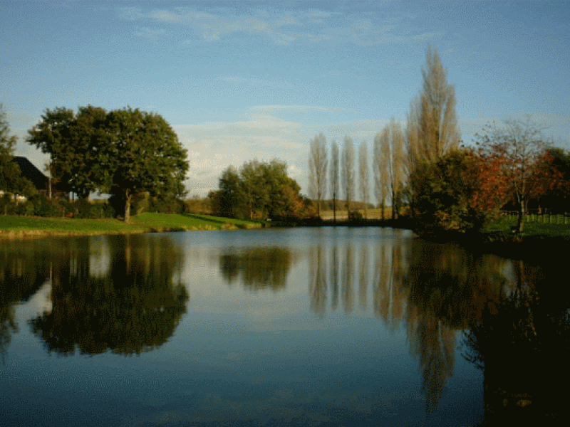 Etang communal