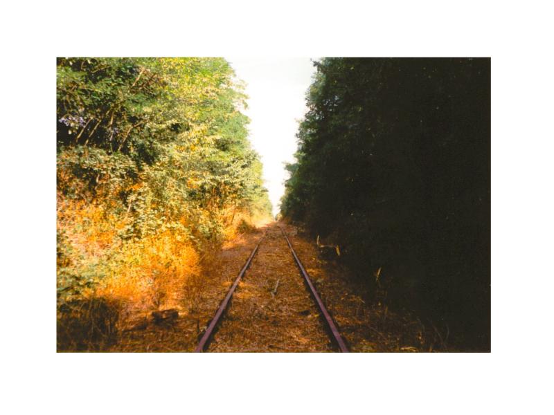 L'inter-ligne