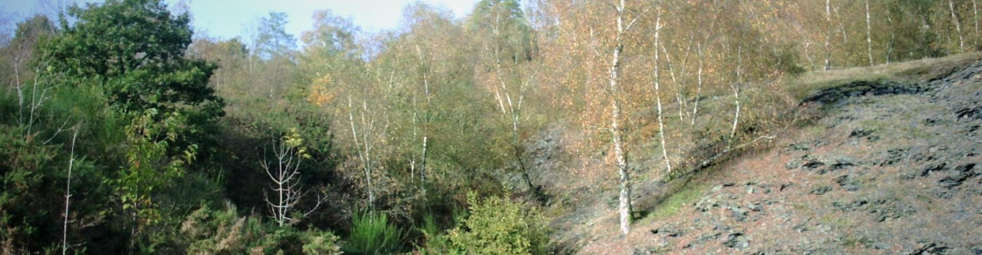 Saint Saturnin du Limet