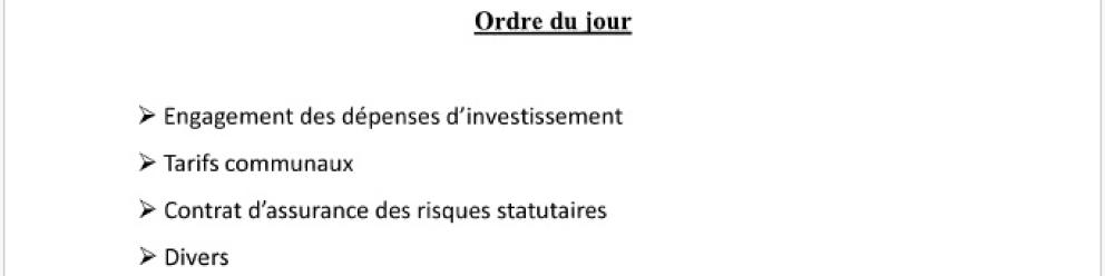Convocation conseil municipal 22/01/2026